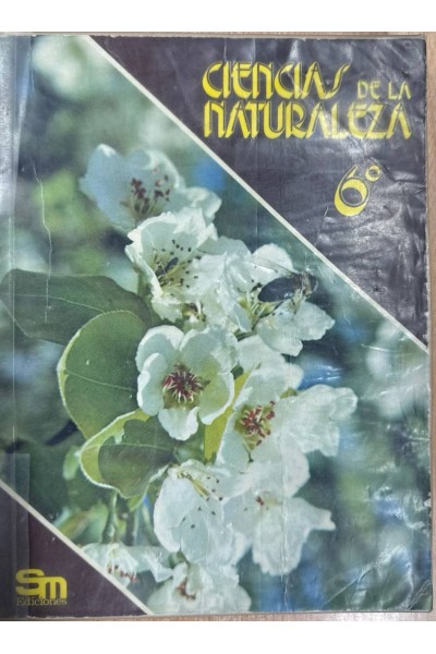 Ciencias De La Naturaleza 6